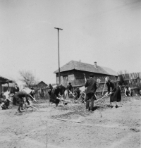 Pracovní vyučování s žáky Osmileté střední školy v Újezdě, 1954