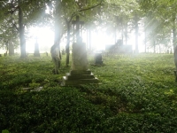 Czech cemetery in Český Malín, 2013