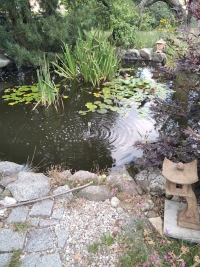 A pond supplemented by artistic creations of Ladislav Čáslavský's wife