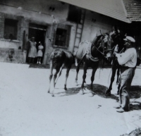Otec s koňmi na statku v Dolních Nerestcích, počátek 50. let