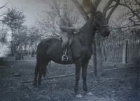 Her father Josef Pavelec as a young man riding on a horse 