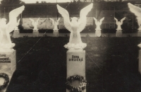 Sokolský slet 1948 - účastnické župy