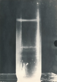 Zkumavka s virem leukemie z myši po centrifugaci v gradientu, cca 1966 