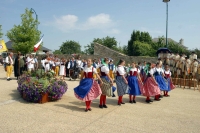 Celebrations of the Celts, performance in Meriadec, France, 2005