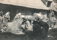 Ženy při mlácení obilí, Eibenthal, 1937