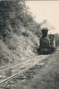 Koleje do Eibenthalu, po nichž byl k Dunaji dopravován azbest a uhlí. Provoz na železniční trati byl v roce 1969 ukončen a parní lokomotivu nahradily nákladní vozy