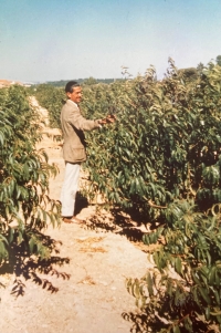 Otec pamětnice dohlíží na pozemky německého investora v Portugalsku, léto 1962