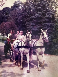 Otec pamětnice řídí koně hraběte Arco-Zinneberga v St. Martinu. Vedle něj napravo sedí Hubert Rudolfsky, který sehrál významnou roli v záchraně lipicánských koní z hřebčína v Hostouni na konci druhé světové války; jaro 1977