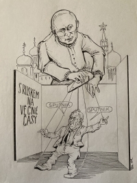 Reakce na situaci v roce 2020 při pandemii koronaviru a chování prezidenta Miloše Zemana