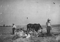 A siesta during the grain harvest at the Theuers' field / on the left is Monika Ruská's father, on the right her grandfather František / around 1935
