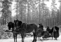 Otec Moniky Ruské Josef Theuer (na kozlíku) / 1935