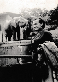 The mother of Marie Kastnerová in Prague ZOO, 1958