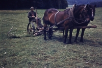 Sekačka na seno za koně, Sedlejov, 1957