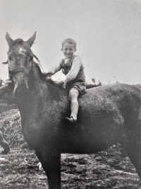 Bořivoj Hytych na koni, kterého měl rodina v hospodářství (rok 1945)