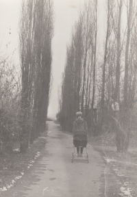 Na projížďce s kočárkem se synem Jiřím, cca 1955