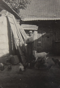 Grandfather Koutný in the yard, Bor, 1940s