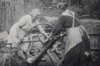 Mother Brůhová (right) sawing firewood, circa 1936