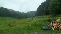 Horse paddock in a valley, Vladimír Pechan's agricultural homestead, June 2022
