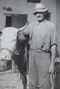 Strýc Jan Koutný na dvoře
