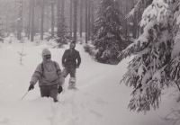 Prošlapávání stopy