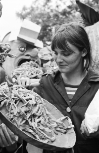 Marie Klimešová 1975