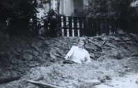 Olga Mertlíková digging a new gas connection in 1978