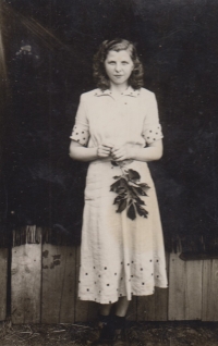 Anděla Macků, 1950s