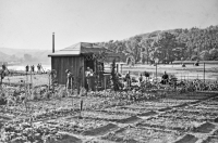 Zahrádkářská kolonie na Trojském mostě v Praze, kde měli Kaňkovi zahradu (40. léta)