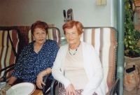 Sestry Zahradníkovy, 2016