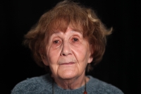 Fotografie z natáčení v Hradci Králové 22. 10. 2022