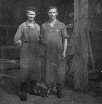 Harald Skala na letní brigádě v podniku Fruta v Chrasti na Chrudimsku, 1954