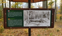 Information board by the Forest theatre