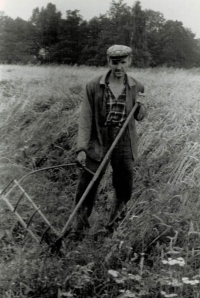 Jaroslav Havel during harvest season 1969