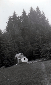 A little cottage above Poteč, 1976