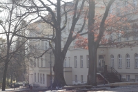 Zadní část budovy Rubešovy školy. Některé zdroje k tragédii uvádí, že tlaková vlna způsobená výbuchem roztříštila v přilehlém okolí na 540 okenních tabulí. Smutnou událost dodnes v parku připomíná pamětní deska a také atrapa letecké pumy. Havlíčkův Brod, únor 2023