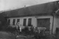 Parents' house in Eibenthal, where they lived after returning from displacement, undated
