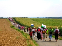 Pilgrims with Jan Peňáz on the road in front of Velehrad, 22 August 2009