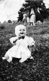 Jarmila Sikorová / 1954