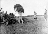 Working with hay/ in the middle Josef Wawrzacz, J. Sikorová's father / Hrčava / 1950s