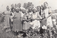 Jan Hrad's mother (far right) with other JZD employees weeding poppies
