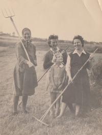 Zleva: babička Jana Hrada, teta Marie, manželka při práci na poli v Bílenicích