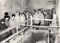 Komise Přemyslovský palác, 1980