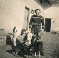 Ivana Janů on the family farm in Plažy with a calf and her father before nationalization

