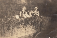 Renate Hillmannová se sestrou a maminkou vezou jetel natrhaný nad celnicí, Schnellau (Slané), kolem roku 1939 