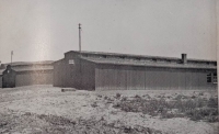 Pohled na koncentrační tábor Bystřice u Benešova, 1945