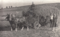 Father on a wagon, 1930s