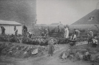 Jedličkův ústav, 1913–1914