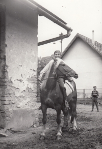 Syn Marie Kirchnerové, 60. léta