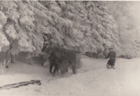 Rudolf Schmidt, únor 1963
