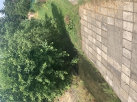 Bakovský potok v Sazené, pohled z mostu k mlýnu